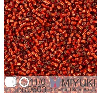 Miyuki Delica 11/0 - Dyed S/L Brick Red 5g